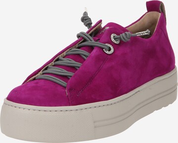 Sneaker bassa di Paul Green in rosa: frontale