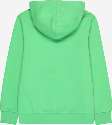 Champion Authentic Athletic Apparel Sweatshirt in Green