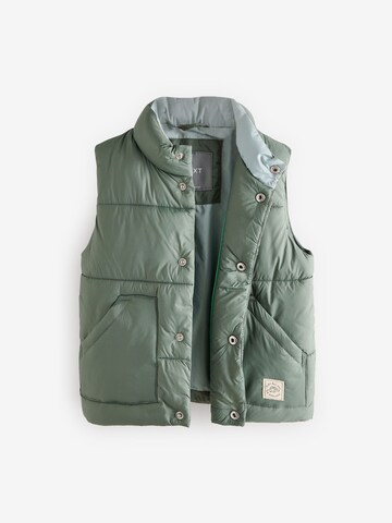 Gilet di Next in verde