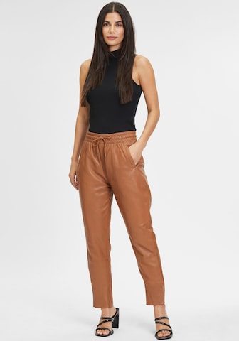Gipsy Tapered Pants in Brown