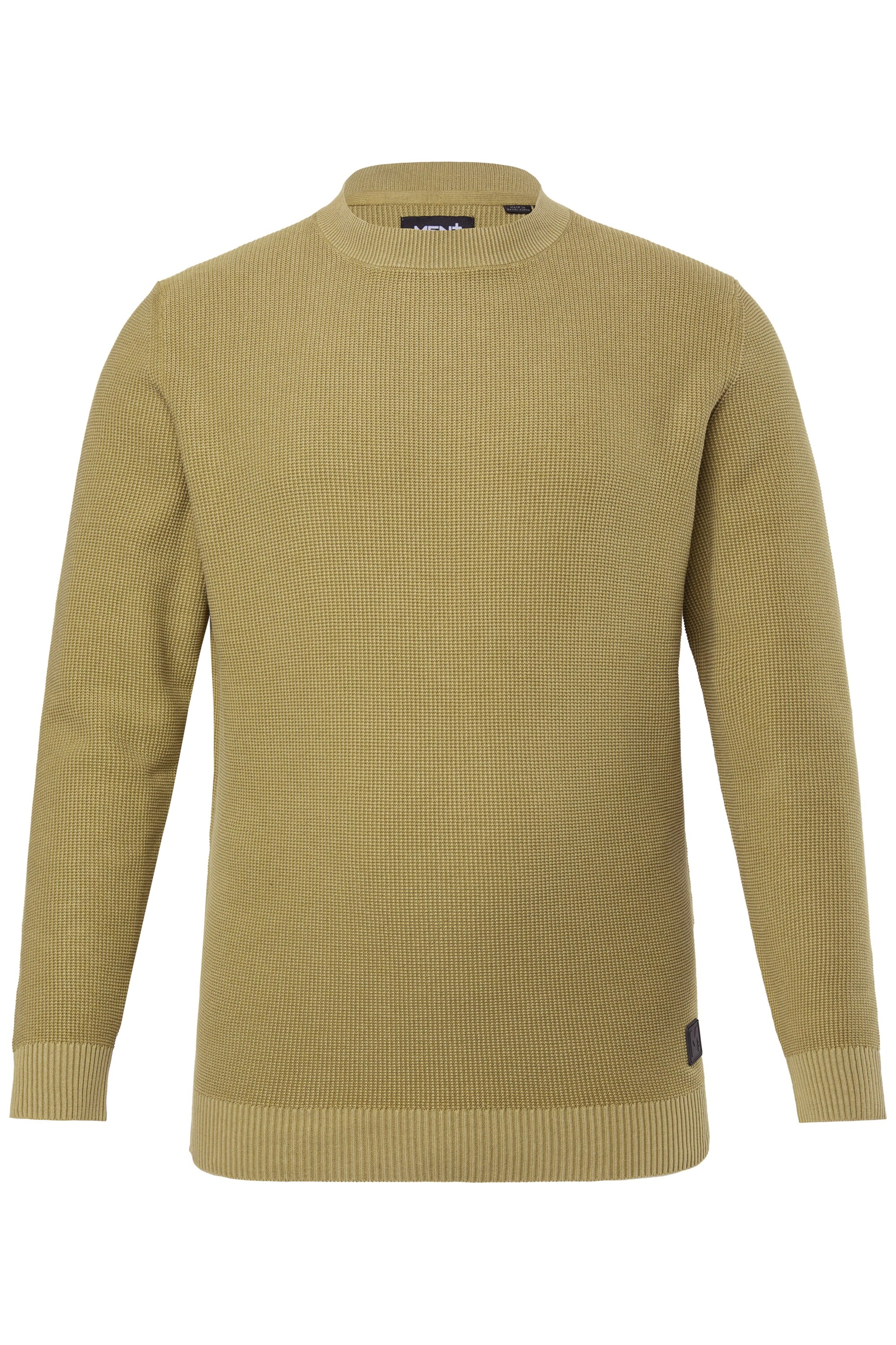 Men Plus Pullover in Grün: Vorderseite