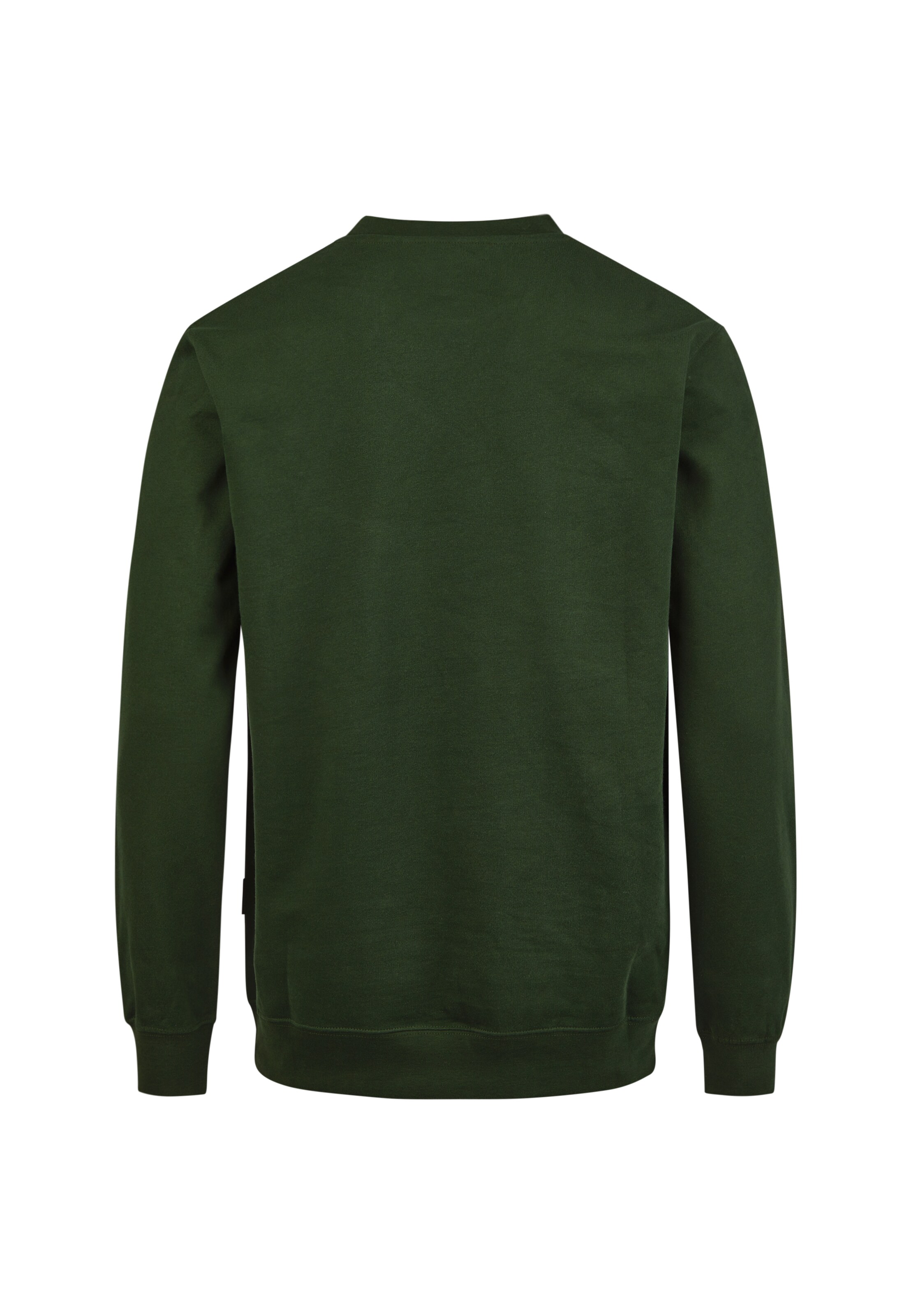 Cleptomanicx Sweater 'Ligull' in Grün