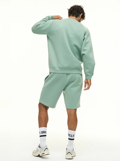 Felpa 'RECREATION Scuba' in S DRILLS Apparel di colore verde chiaro, Visualizzazione prodotti