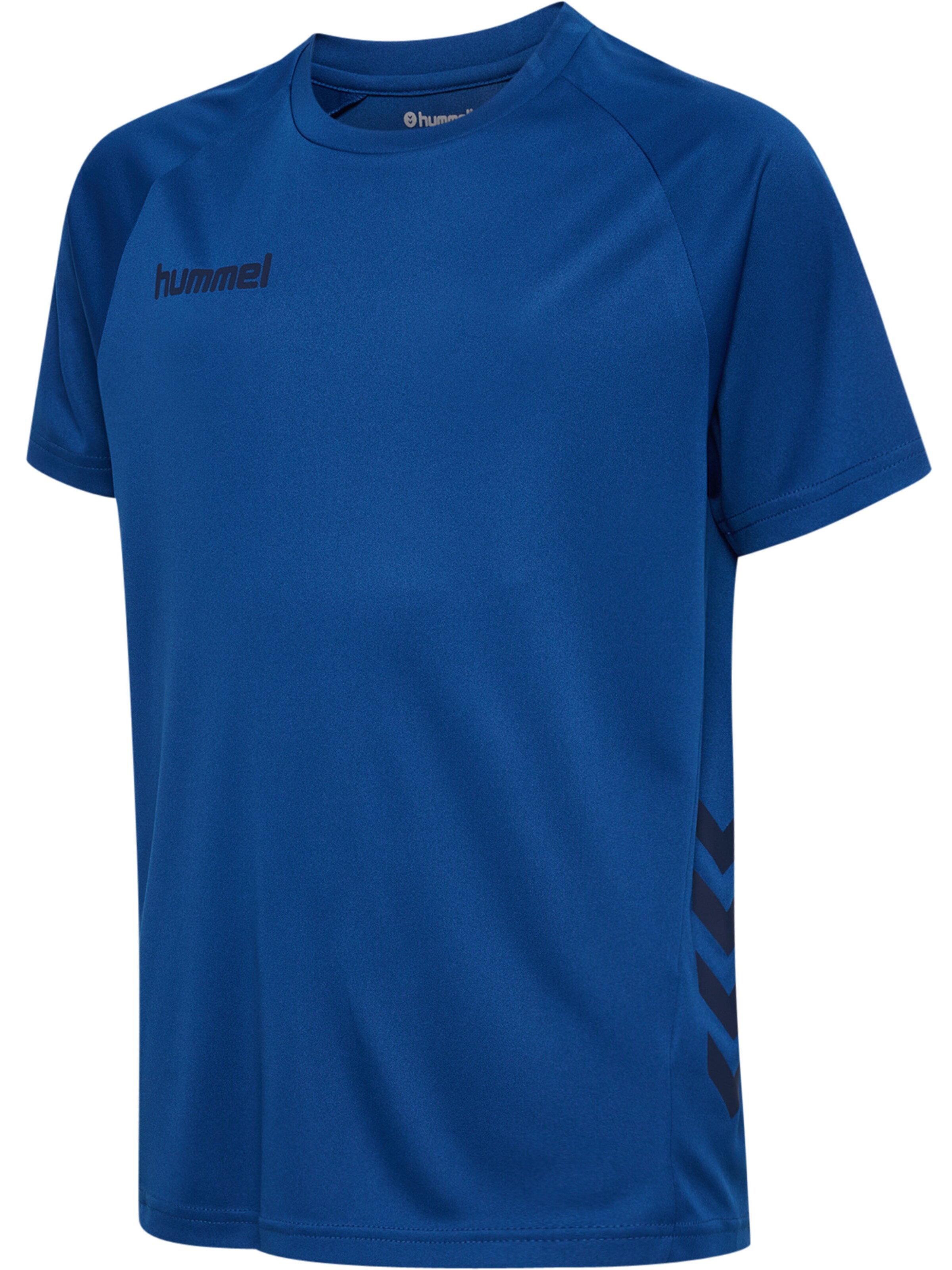 Hummel Trainingspak 'Promo' in Blauw