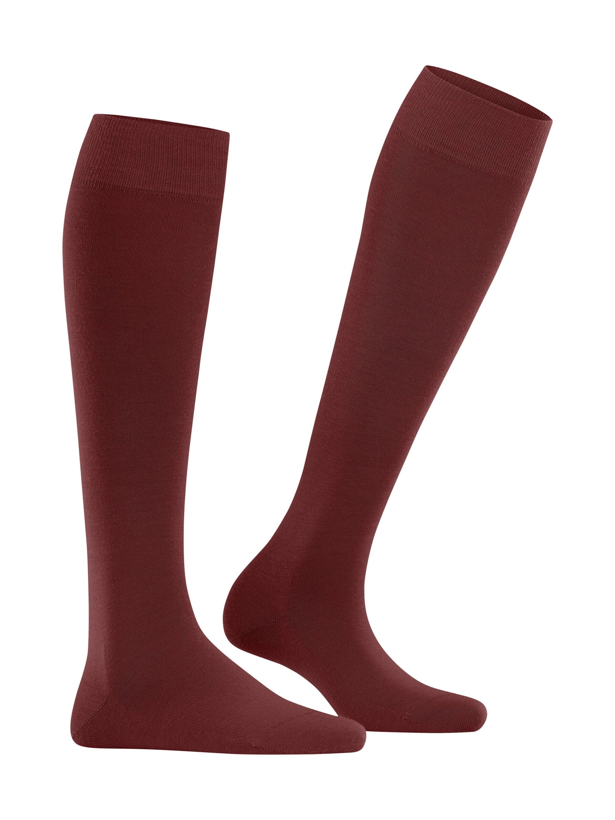 FALKE Kniestrümpfe 'Softmerino'‌‌‌‌‌‌ in Braun