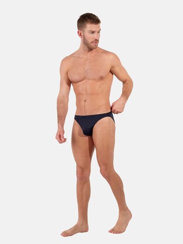 HOM Slip ' Plumes ' in Blue