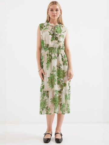 Bigdart Midi Kleid in Grün