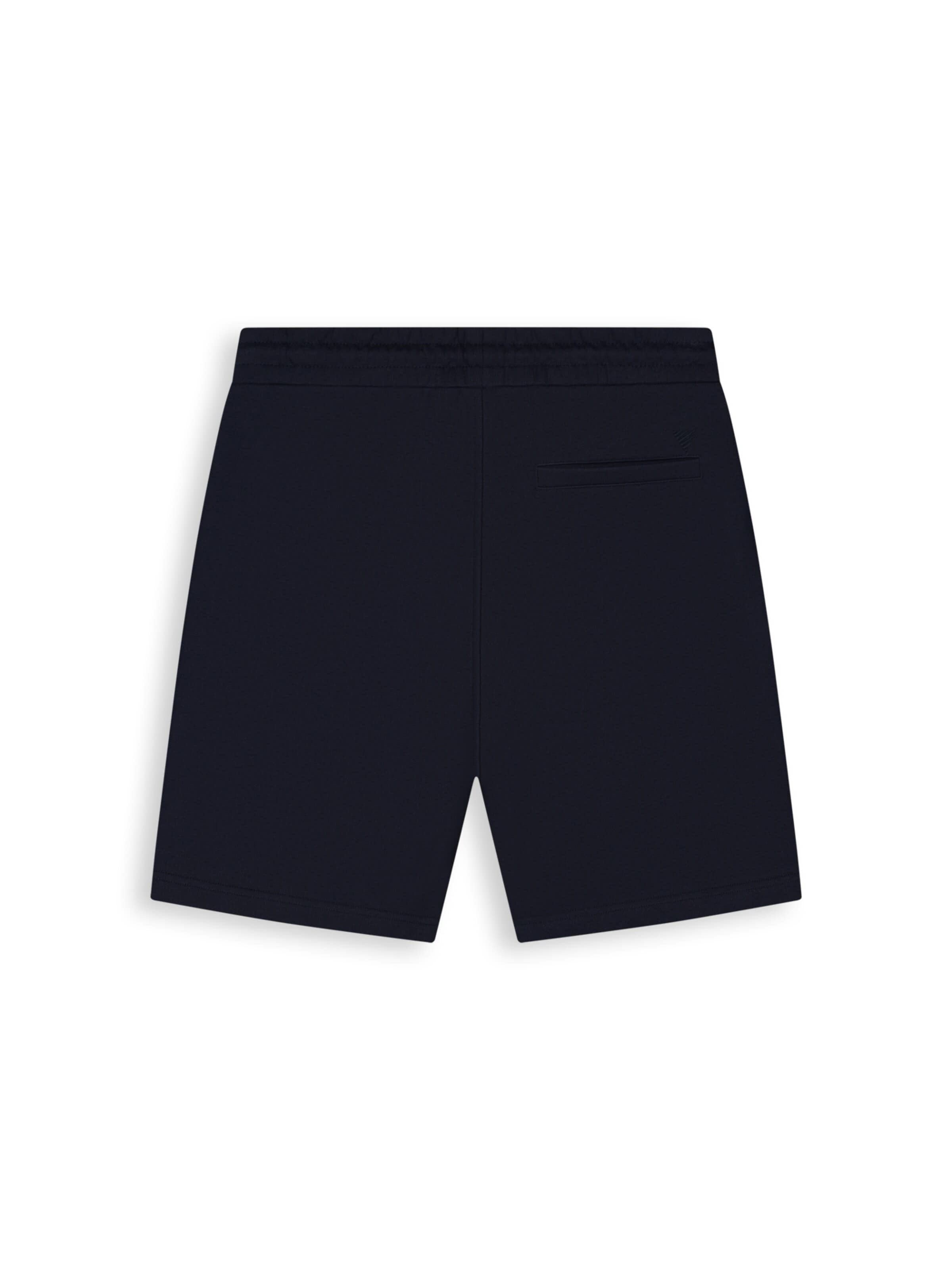 Pure Path Regular Broek in Blauw