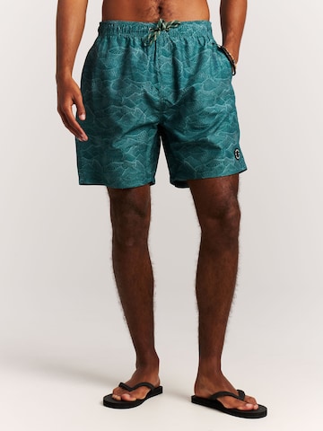 PROTEST Swimming shorts 'PRTAcorn' in Green
