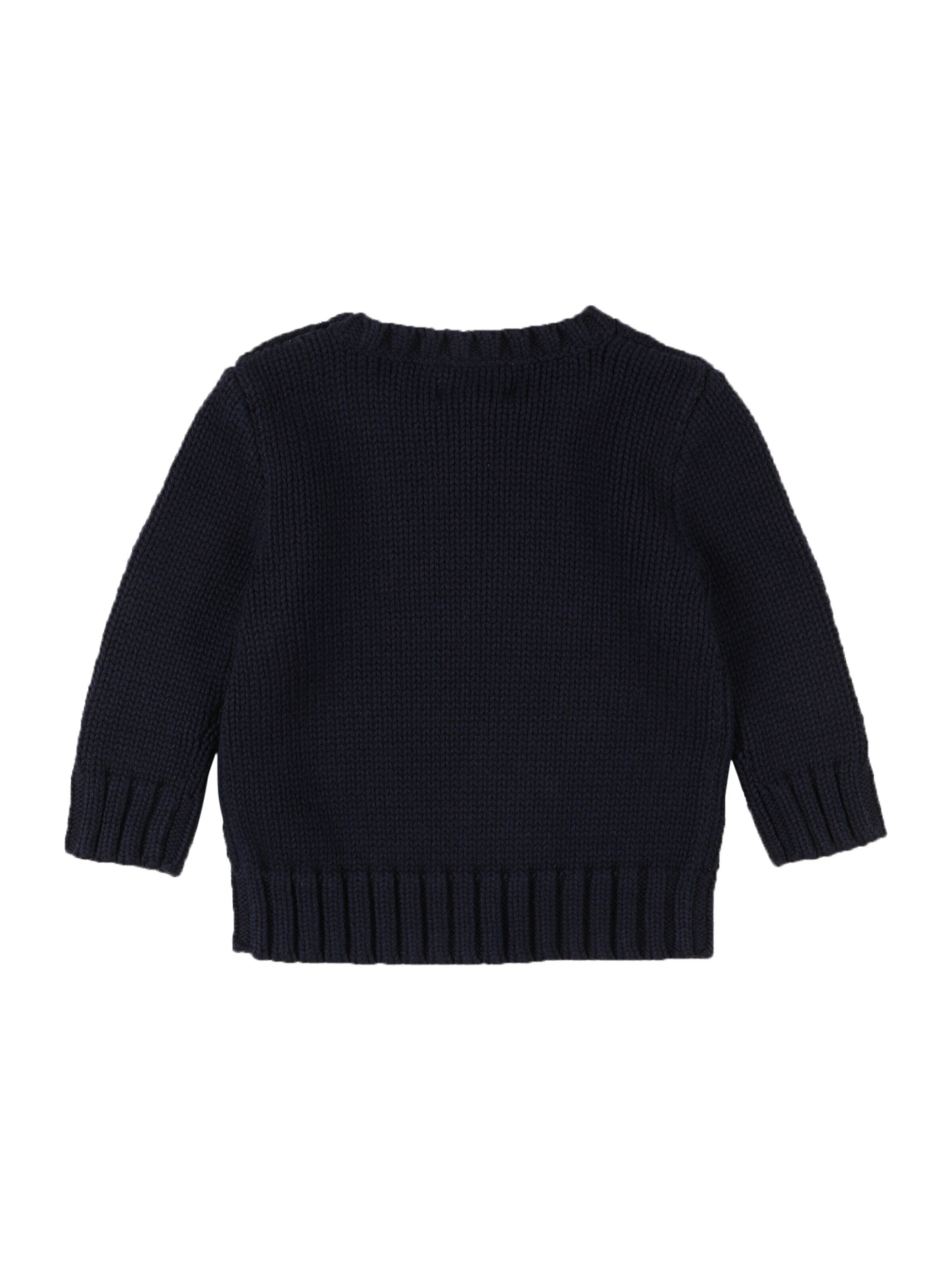 Polo Ralph Lauren Pullover i blå