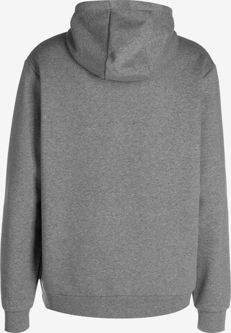 WILSON Sweatshirt in Grey