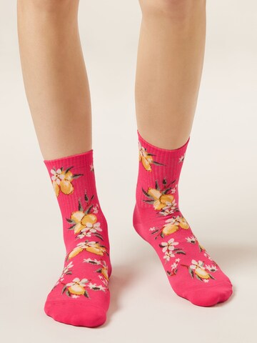 CALZEDONIA Socks in Pink: front