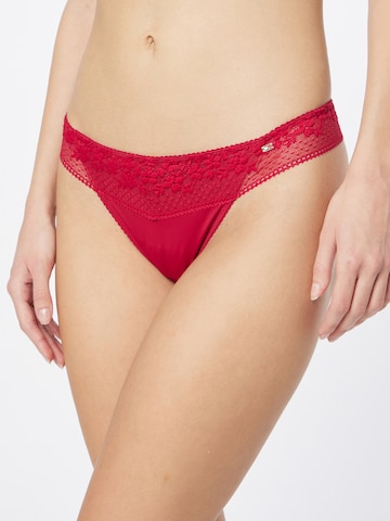 Tommy Hilfiger Underwear Thong 'Ditsy' in Red: front