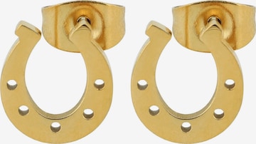 Akzent Earrings 'Feli, langlebig' in Gold: front