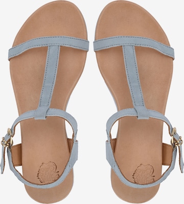 Apple of Eden Strap Sandals 'DANA' in Blue