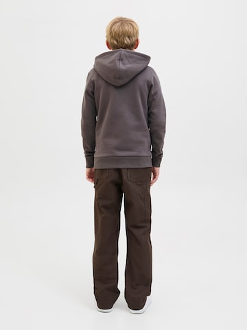 Jack & Jones Junior Sweatshirt 'JJARI' in Grijs