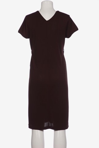 monari Dress in XL in Brown