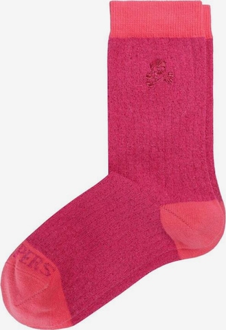 rožinė Scalpers Kojinės: priekis