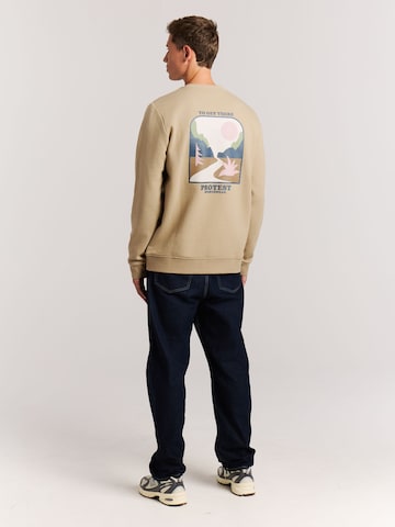 PROTEST Sweatshirt 'PRTScorpio'‌‌‌‌‌ in Braun
