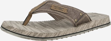 SKECHERS Zehentrenner 'QUILL' in Braun: Vorderseite
