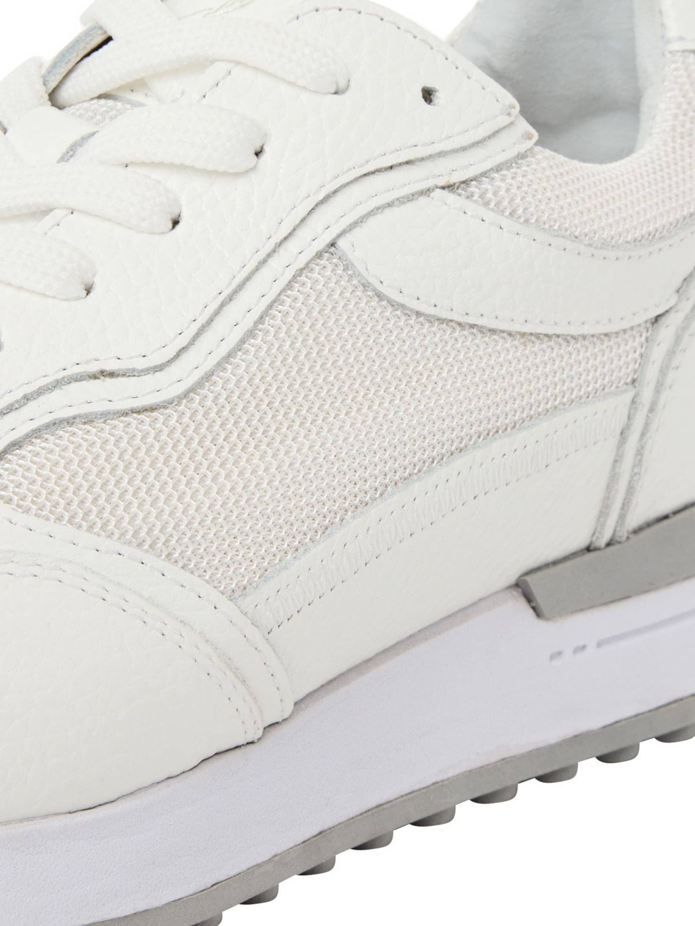 Guido Maria Kretschmer Men Sneakers laag in Wit