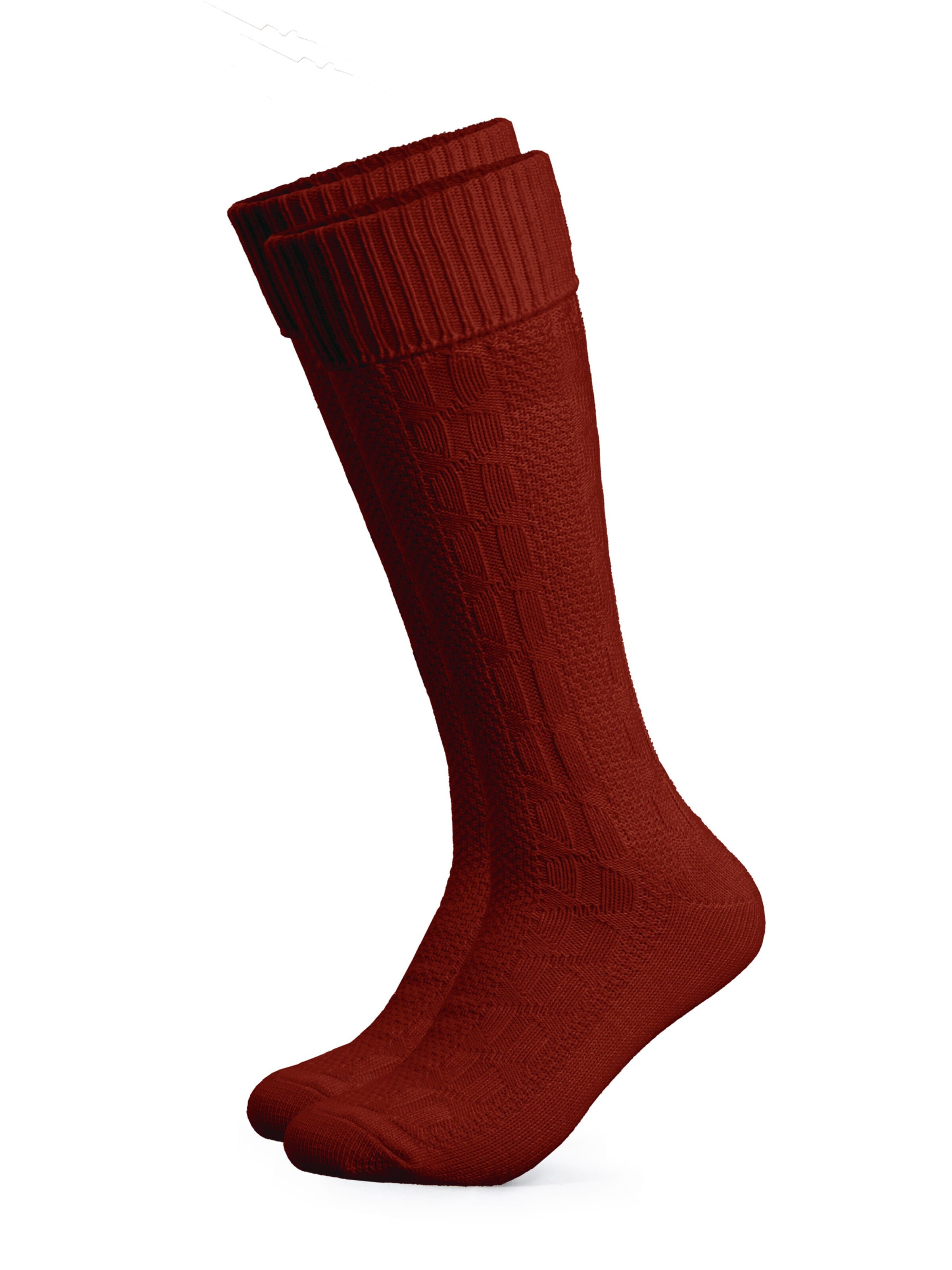 HerzSticht Trachtensocken 'Silberdistel'‌‌ in Rot: Vorderseite