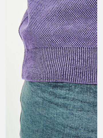 Jan Vanderstorm Sweater ' Keimo ' in Purple