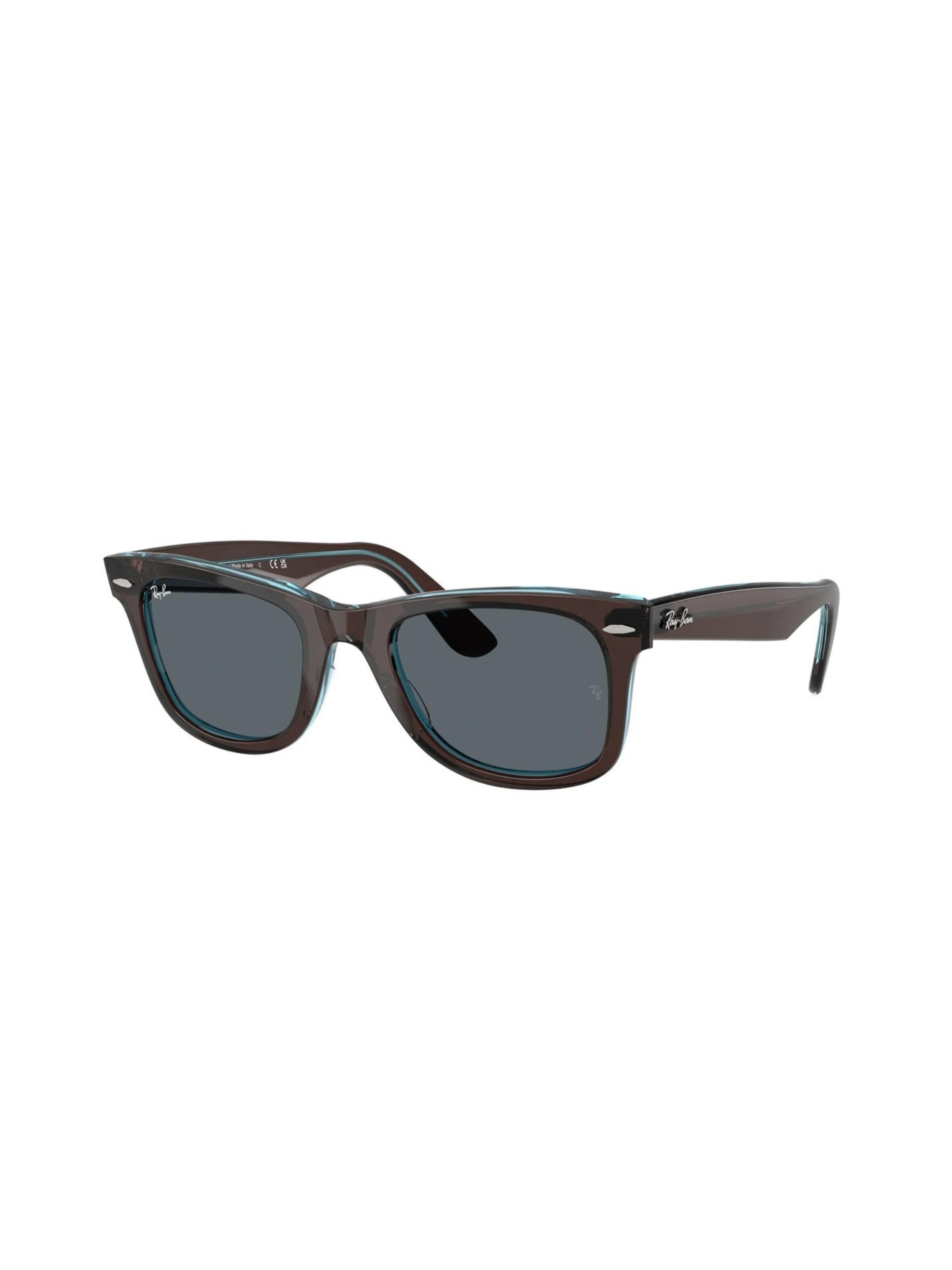 Ray-Ban Sunglasses in Brown