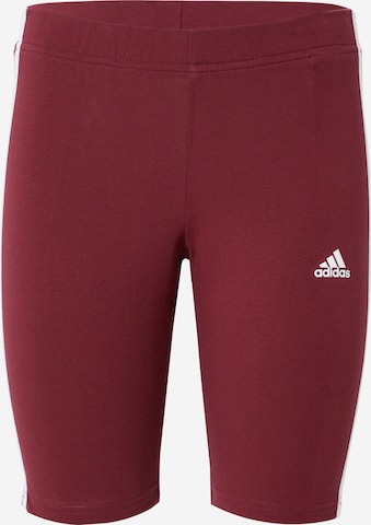 Pantalon de sport 'Essentials' ADIDAS SPORTSWEAR en rouge : devant