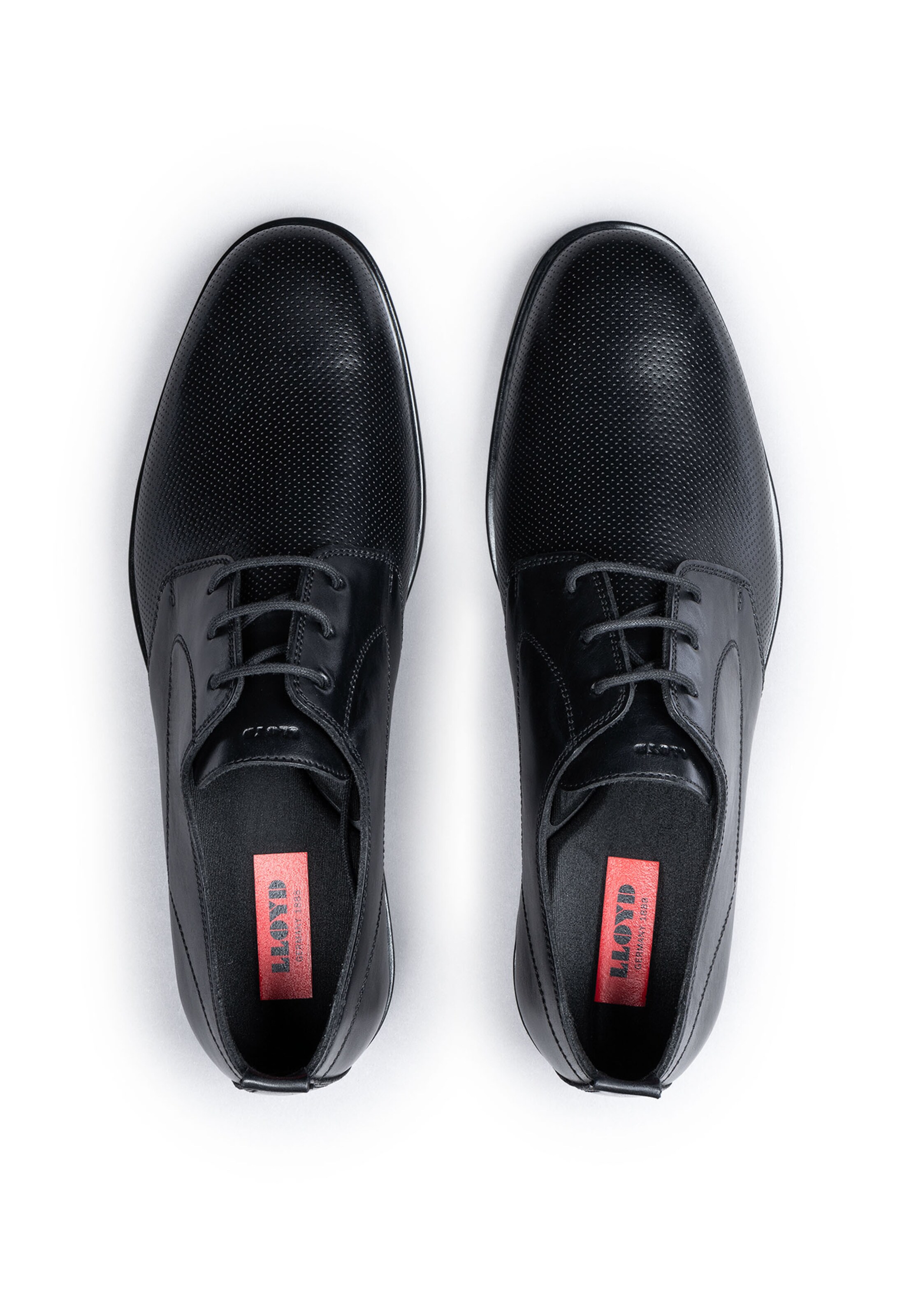 LLOYD Veterschoen 'LARK' in Zwart