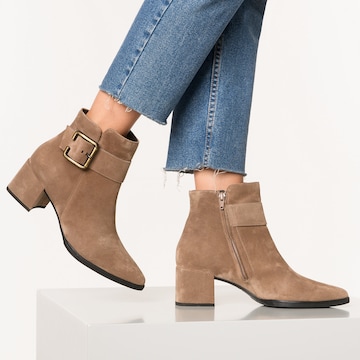 Paul Green Ankle Boots in Beige