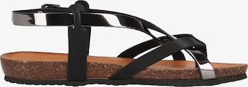 IGI&CO T-Bar Sandals in Black