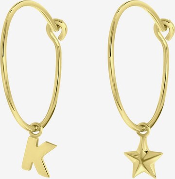 Lucardi Earrings in Gold: front