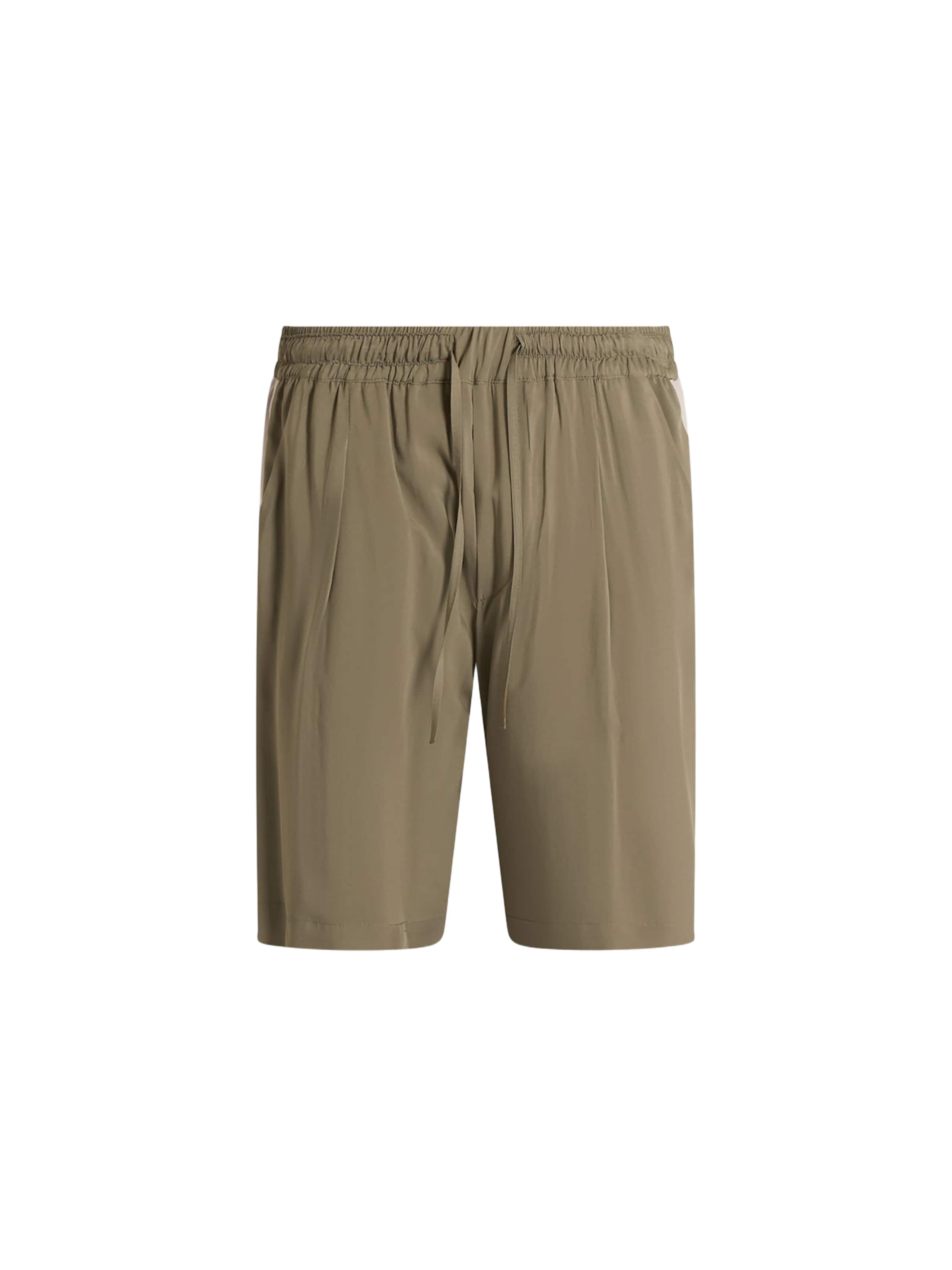 LOW BRAND Regular Bandplooibroek in Beige: voorkant
