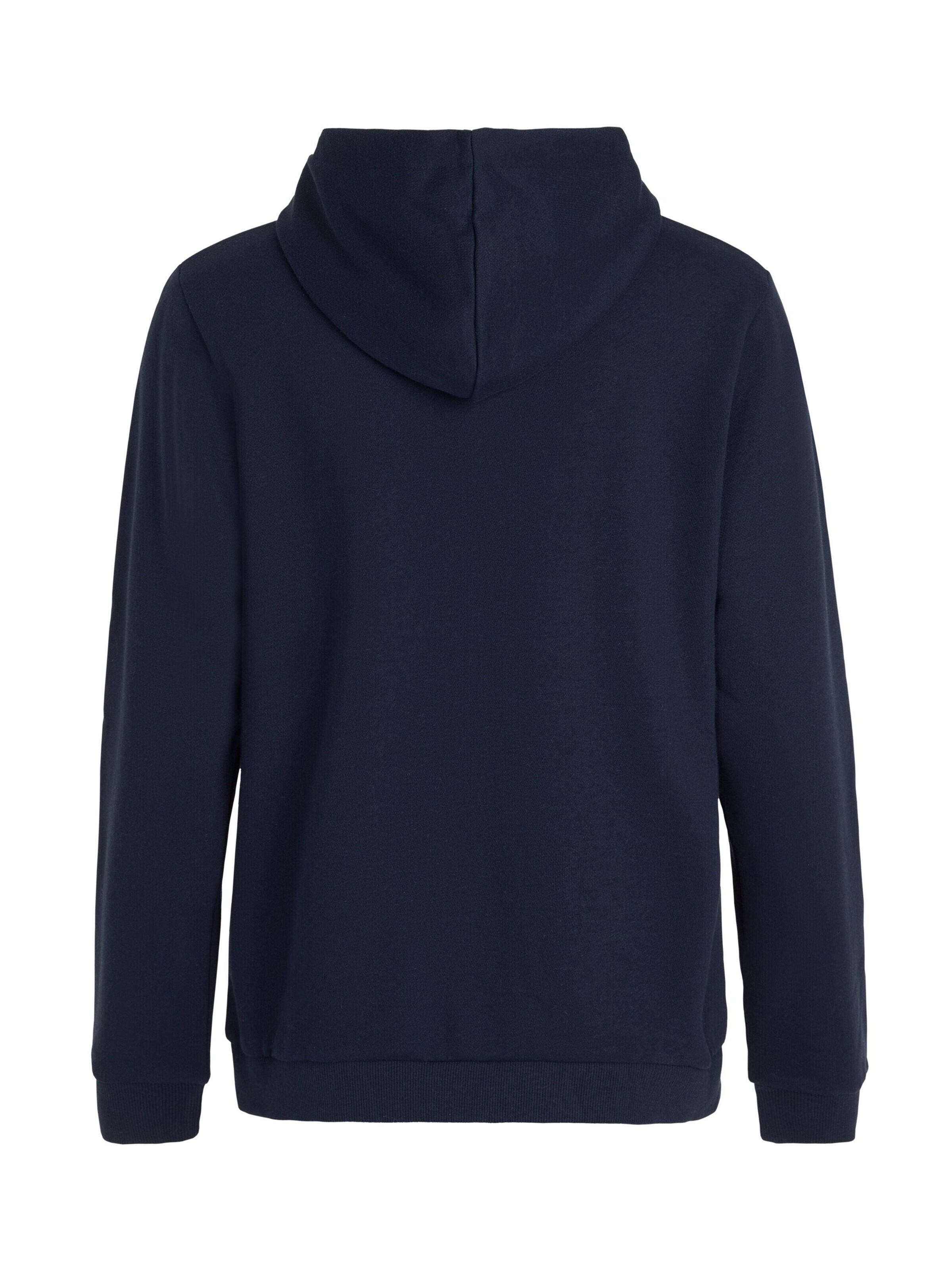 PROTEST Sweater 'CLASSIC LOGO HOODY' in Blue