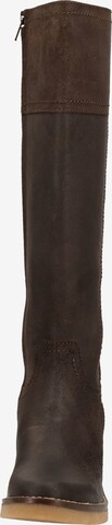 Bottes Kickers en marron