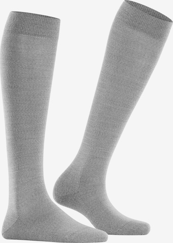 FALKE Knee High Socks 'Softmerino' in Grey: front