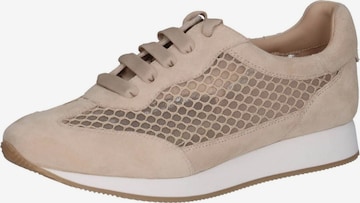 PETER KAISER Låg sneaker i beige: framsida