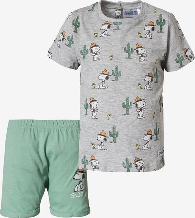 Snoopy & Die Peanuts Set in mottled grey / Green / Mixed colors, Item view