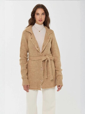 Cardigan Hiccup en marron