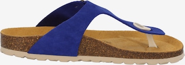 Palado - Sandalias de dedo 'Palado Kos Suede Premium Leather' en azul