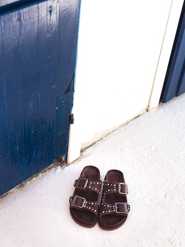 COLORS OF CALIFORNIA Mule in Brown: top