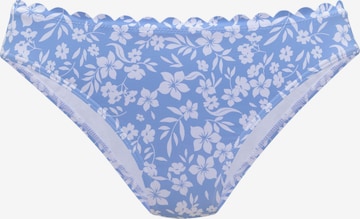 VIVANCE Bikiinipüksid, värv sinine: eest vaates