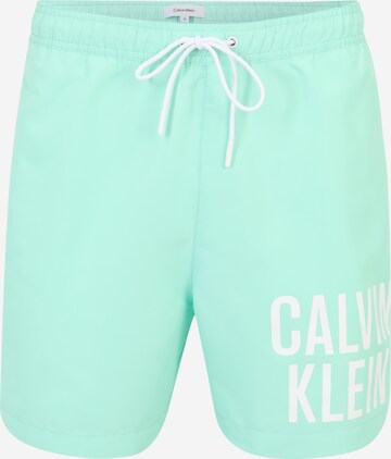 Calvin Klein Swimwear Board Shorts in Green: front