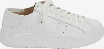 Chaussure basse 'Trainer' Desa en blanc : devant