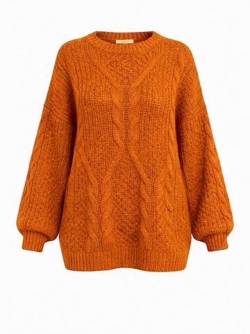 Worldclassca Sweater in Orange: front