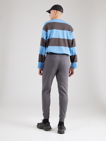 HOLLISTER Tapered Hose in Grau