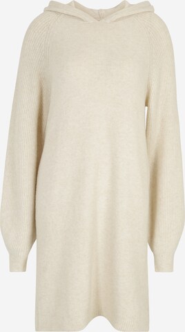 Abito in maglia 'DOFFY' di VERO MODA in beige: frontale