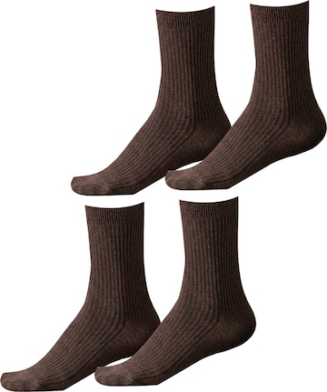 Millo Socks 'Cosy Steps' in Brown: front