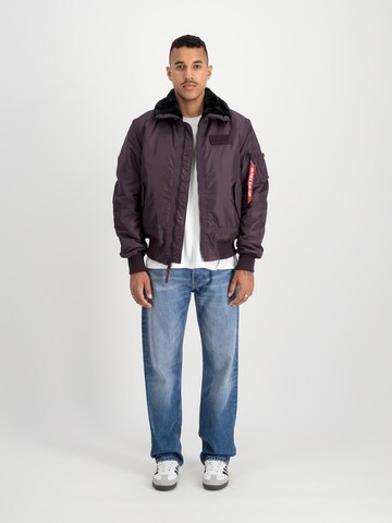 ALPHA INDUSTRIES - Ajuste regular Chaqueta de invierno 'B15-3 TT' en lila: frente